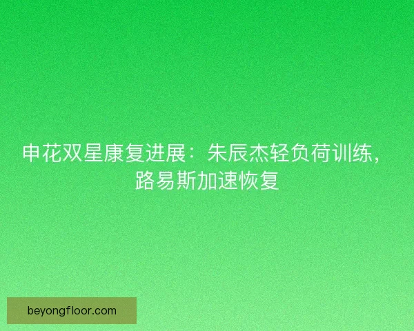 申花双星康复进展：朱辰杰轻负荷训练，路易斯加速恢复