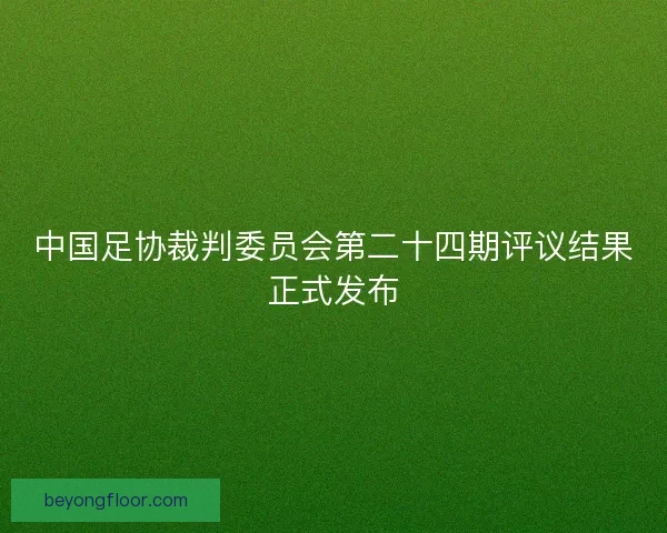 中国足协裁判委员会第二十四期评议结果正式发布