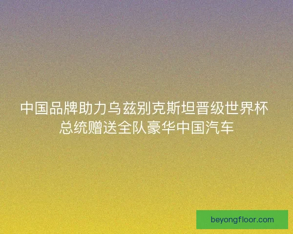 中国品牌助力乌兹别克斯坦晋级世界杯 总统赠送全队豪华中国汽车