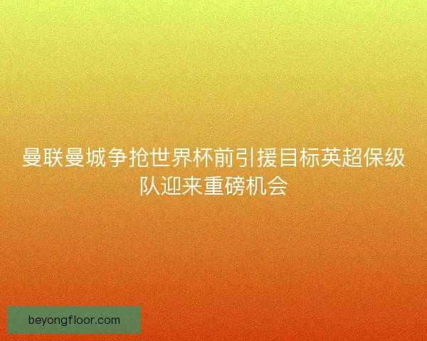 曼联曼城争抢世界杯前引援目标英超保级队迎来重磅机会