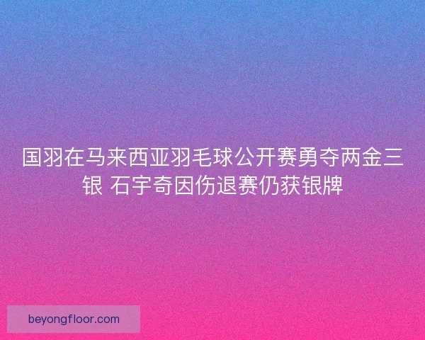 国羽在马来西亚羽毛球公开赛勇夺两金三银 石宇奇因伤退赛仍获银牌